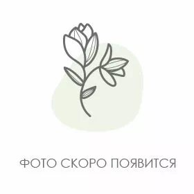 Дари красиво от интернет-магазина «Розы 44» в Костроме