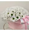 Композиция в шляпной коробке &laquo;Розовый бриз&raquo;