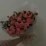 Розы
