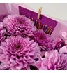 15 кустовых хризантем