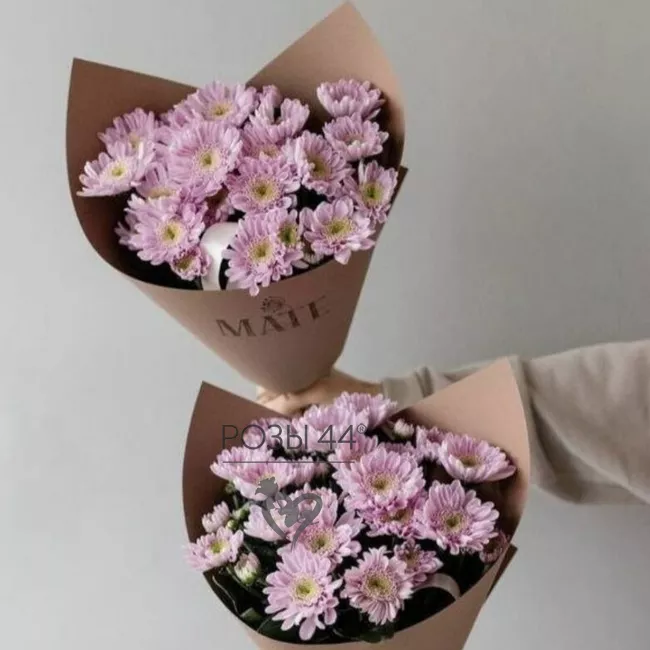 Букет из 5 кустовых хризантем