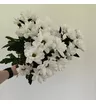 &laquo;Белый танец&raquo; из 3-х кустовых хризантем 