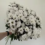 Монобукеты