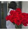 Французские розы 